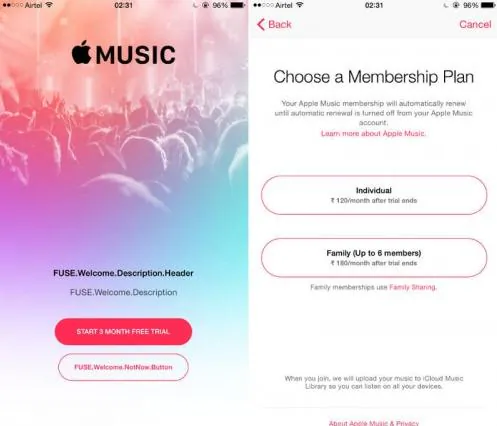 Apple Music Individual 1 Month, 