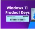 Windows license keys